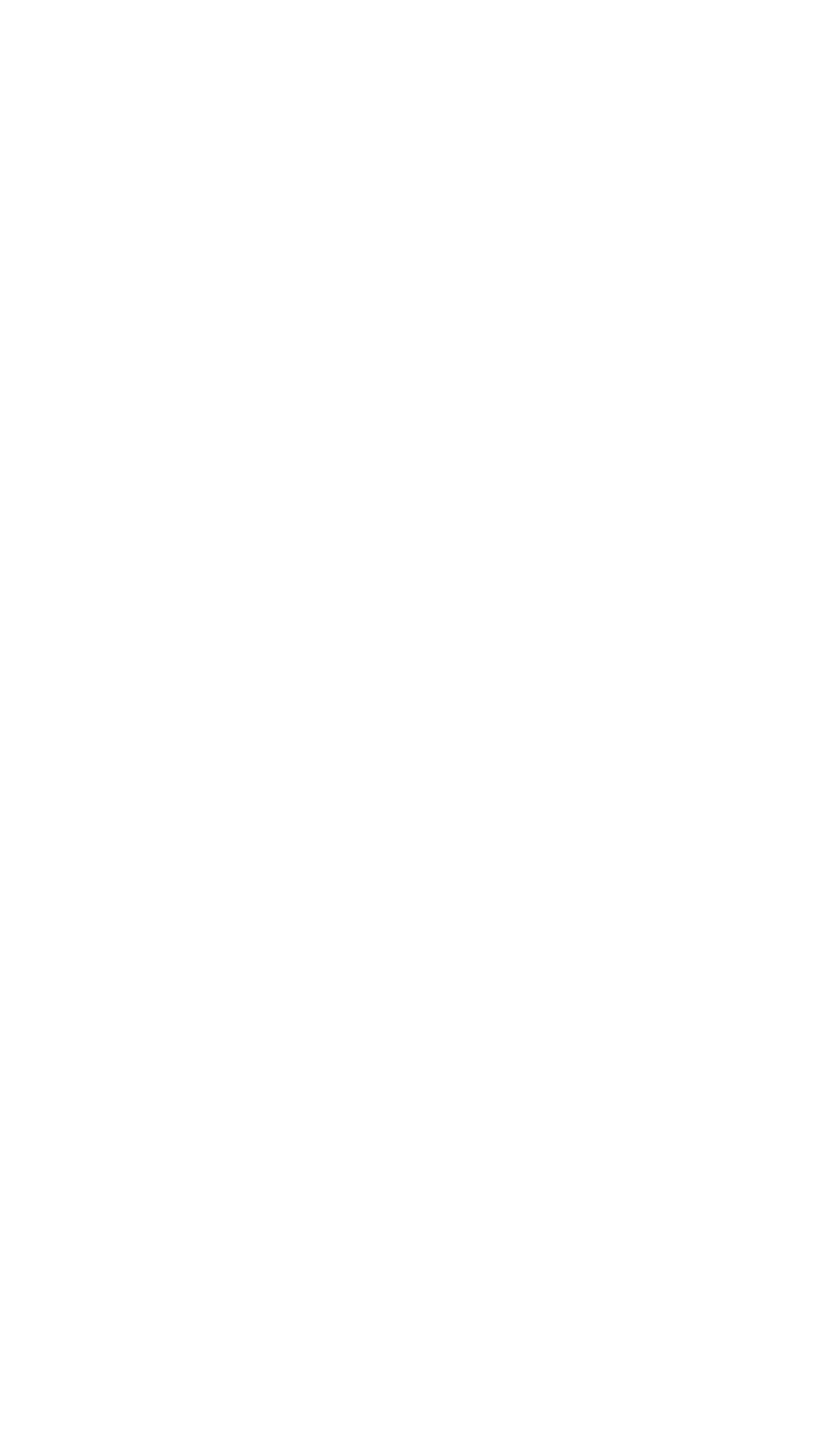 Logo de SN, empresa de pintura, terminaciones y construcción